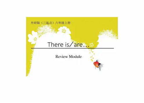 外研版(三起点)小学六年级英语上册There-be句型复习课件