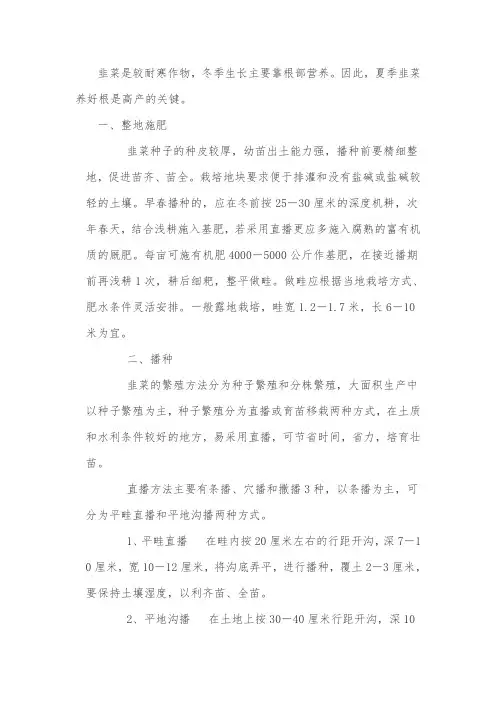 韭菜栽培技术