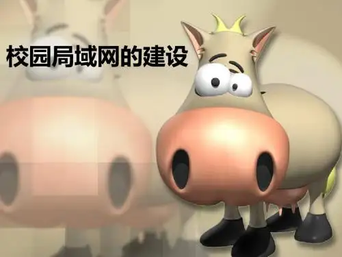 校园局域网的建设