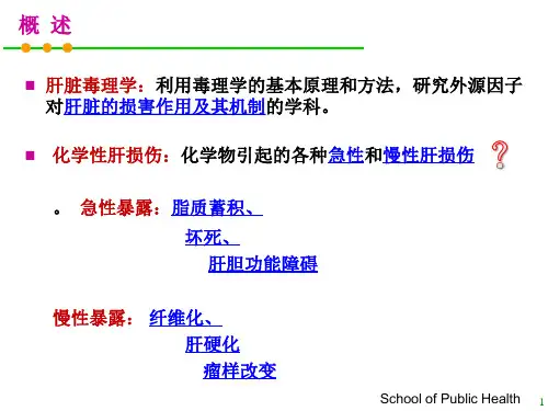 肝脏毒理学试验课件