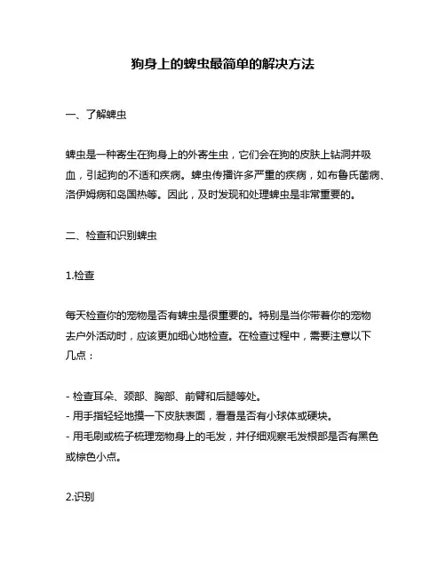 狗身上的蜱虫最简单的解决方法