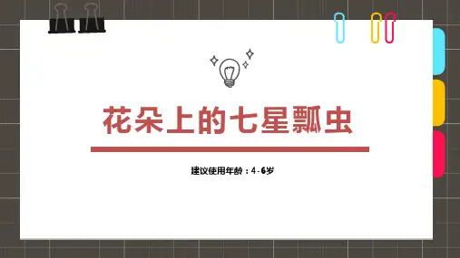 花朵上的七星瓢虫少儿美术PPT课件