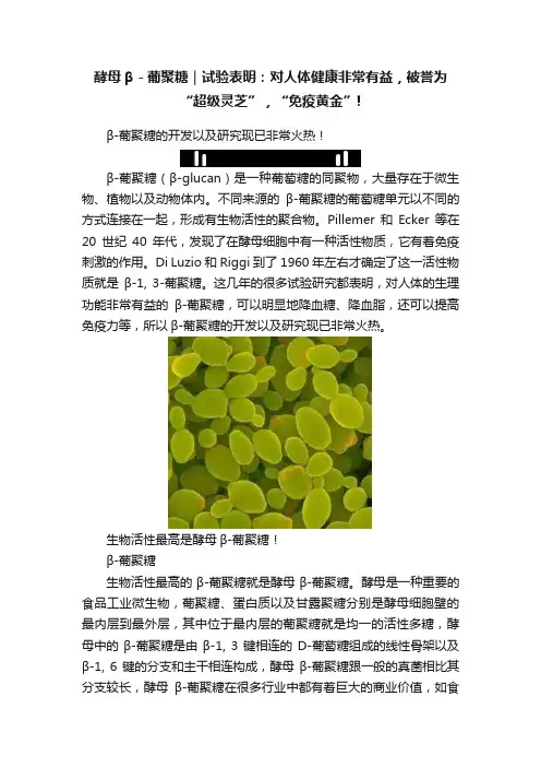 酵母β－葡聚糖｜试验表明：对人体健康非常有益，被誉为“超级灵芝”，“免疫黄金”!