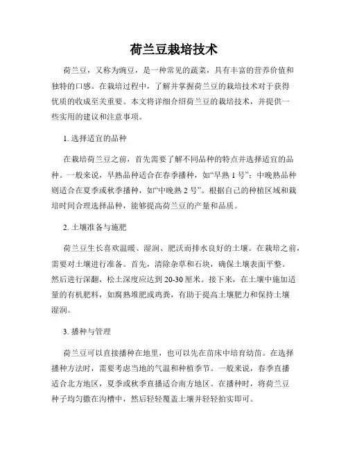 荷兰豆栽培技术
