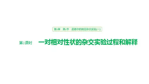 第1章 第1节 第1课时 一对相对性状的杂交实验过程和解释