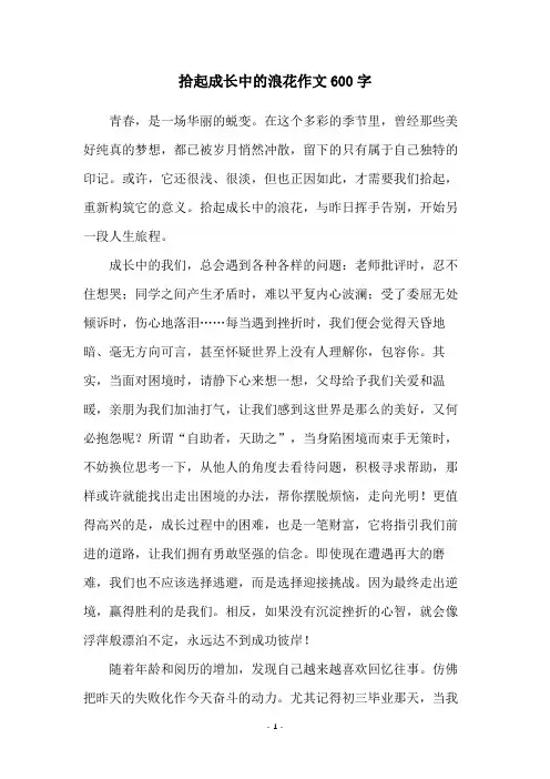 拾起成长中的浪花作文600字