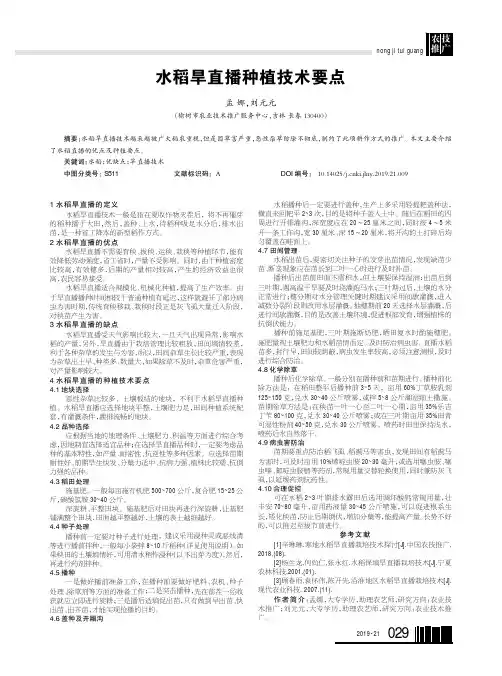 水稻旱直播种植技术要点