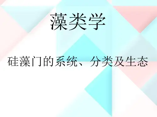 5-硅藻门