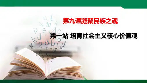培育社会主义核心价值观（ppt）