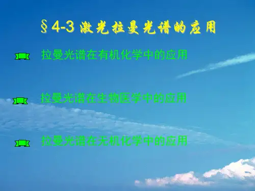 拉曼光谱3