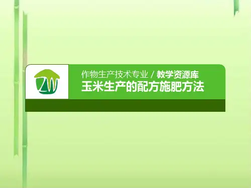 玉米生产的配方施肥方法