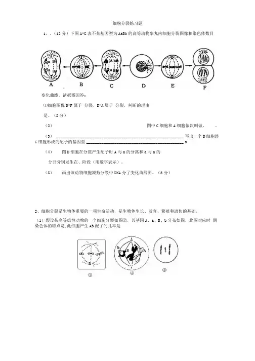 细胞有丝分裂习题(精品).docx