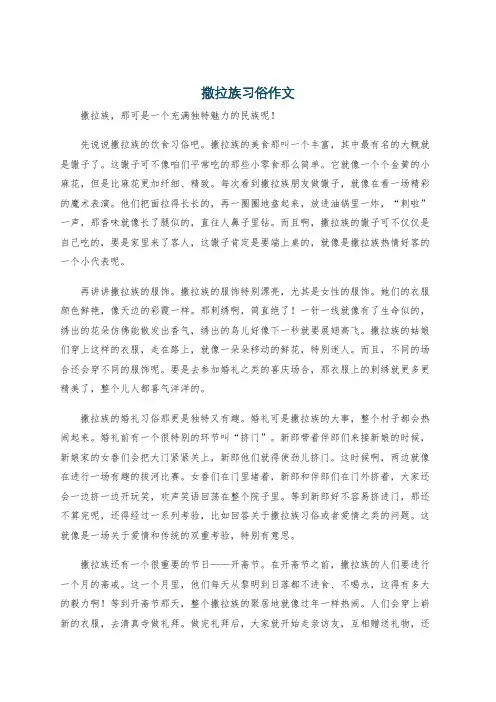 撒拉族习俗作文