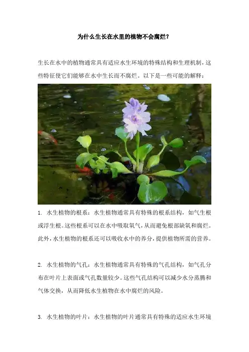 为什么生长在水里的植物不会腐烂