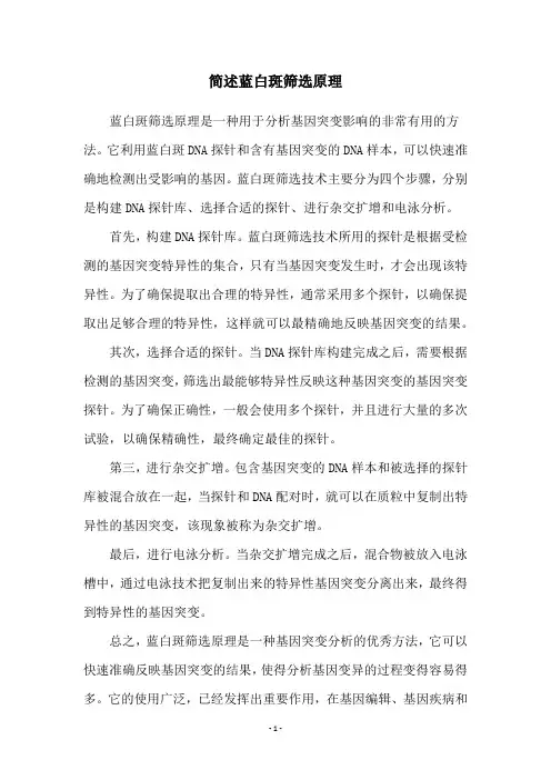 简述蓝白斑筛选原理
