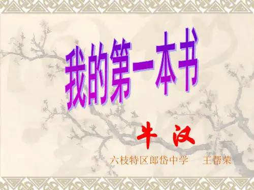 我的第一本书 (10)