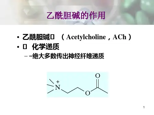 10拟胆碱和抗胆碱药