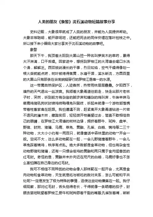 人类的朋友《象警》沈石溪动物短篇故事分享