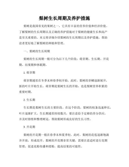 梨树生长周期及养护措施