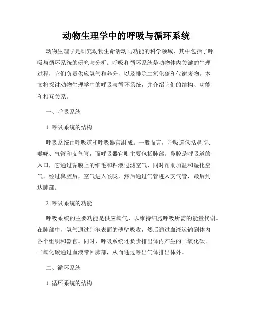 动物生理学中的呼吸与循环系统