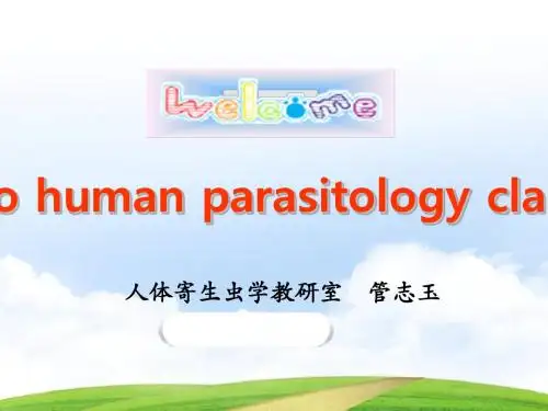 人体寄生虫学-第七节 旋毛形线虫第八节 丝虫-