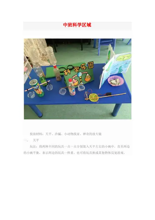 中班科学区域游戏