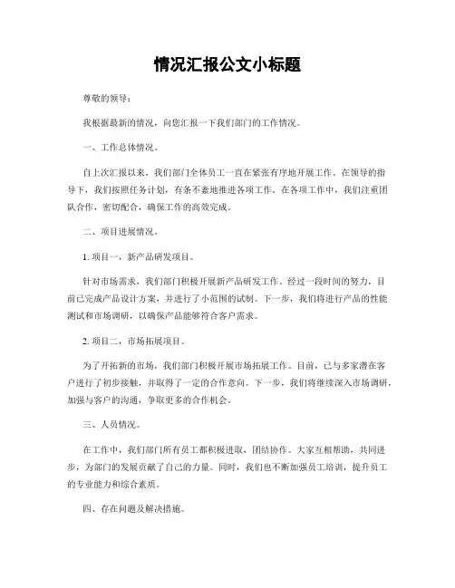 情况汇报公文小标题