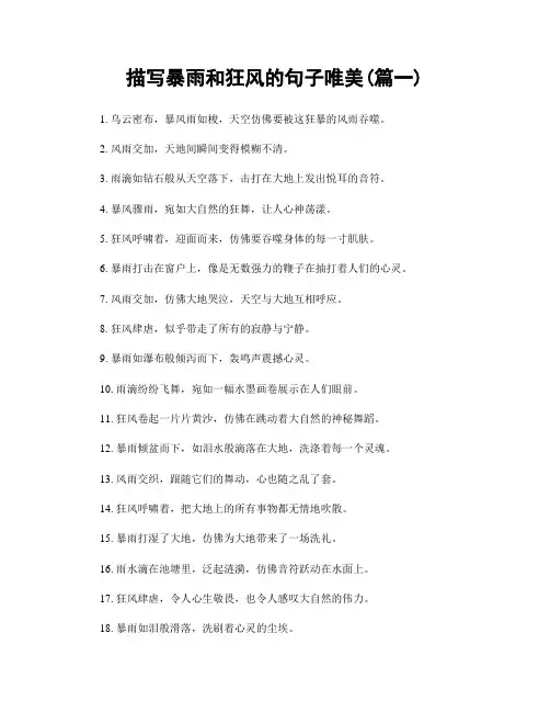 描写暴雨和狂风的句子唯美(精选两篇)
