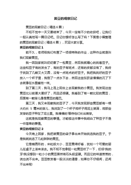 黄豆的观察日记（精选6篇）