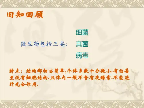 酵母菌和霉菌