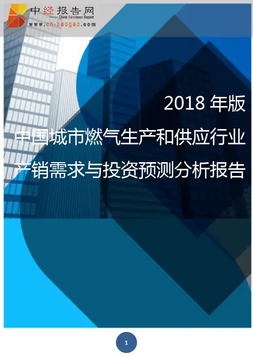 (目录)2018年版中国城市燃气生产和供应行业产销需求与投资预测分析报告