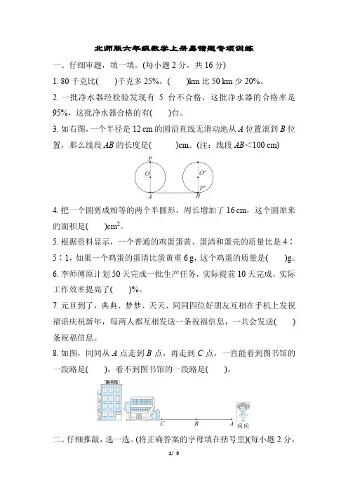 北师版六年级数学上册易错题专项训练含答案