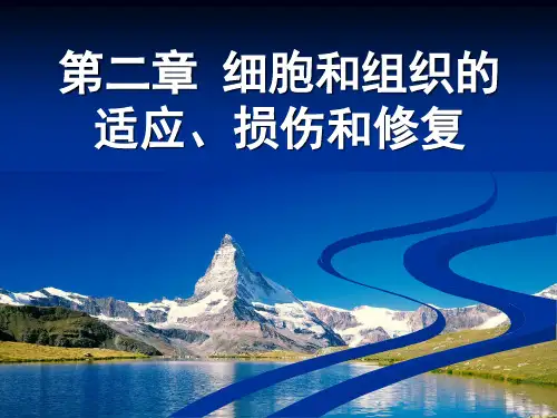 细胞和组织的适应、损伤与修复