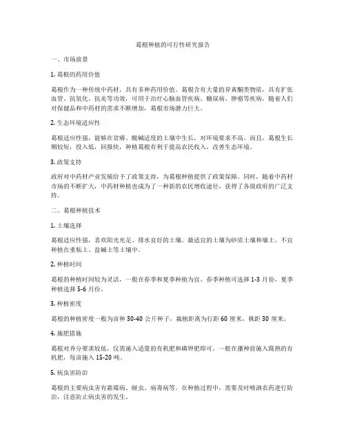 葛根种植的可行性研究报告