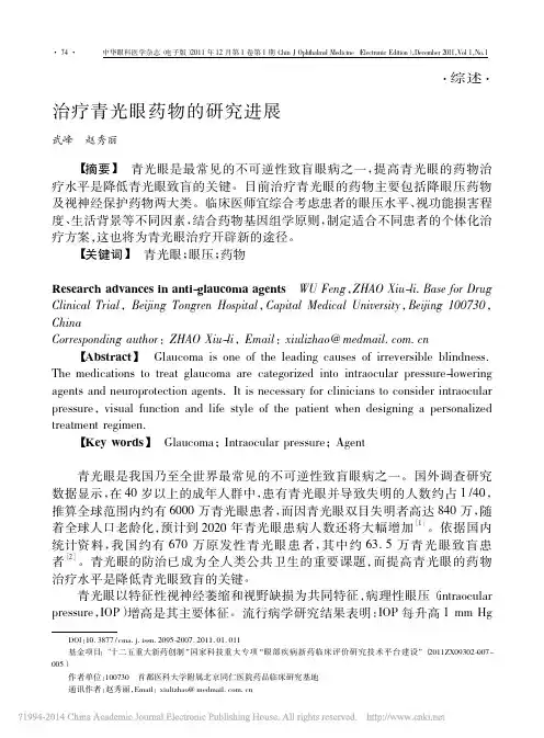 治疗青光眼药物的研究进展_武峰