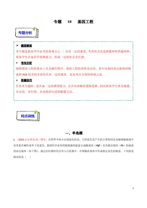 高考生物复习重难点突破讲解(新教材)：专题18 基因工程(解析版)