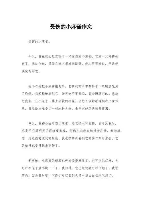 受伤的小麻雀作文