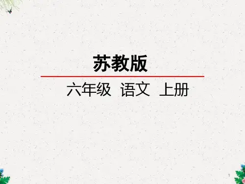 六年级上册语文课件-1 我们爱你啊,中国(苏教版)(共28张PPT)