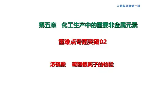 突破02 浓硫酸 硫酸根离子的检验-高一化学同步重难点专项突破(人教版2019必修第二册)