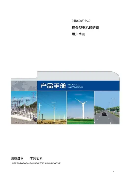 DJB600Y-M30-说明书(马保)