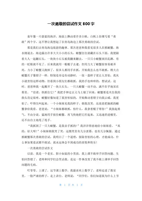 一次勇敢的尝试作文800字