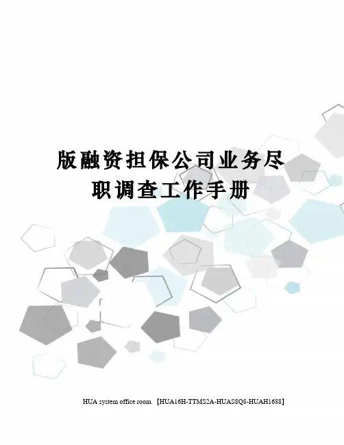 版融资担保公司业务尽职调查工作手册完整版