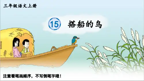 最新部编版三年级语文上册《搭船的鸟》优质教学课件