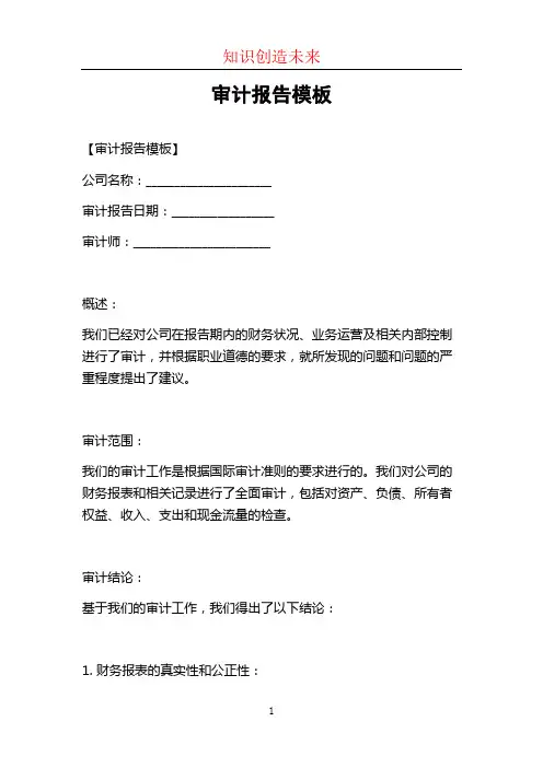 审计报告模板