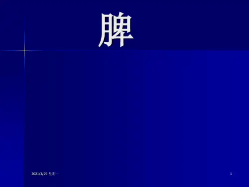 脾脏影像诊断学