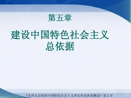 2013版毛概第5章
