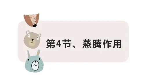 5-4 蒸腾作用七年级生物上册同步精品课件(北师大版)
