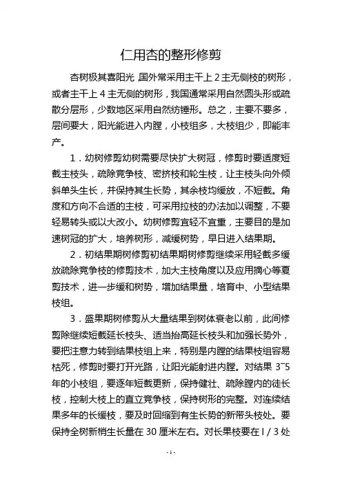 仁用杏的整形修剪