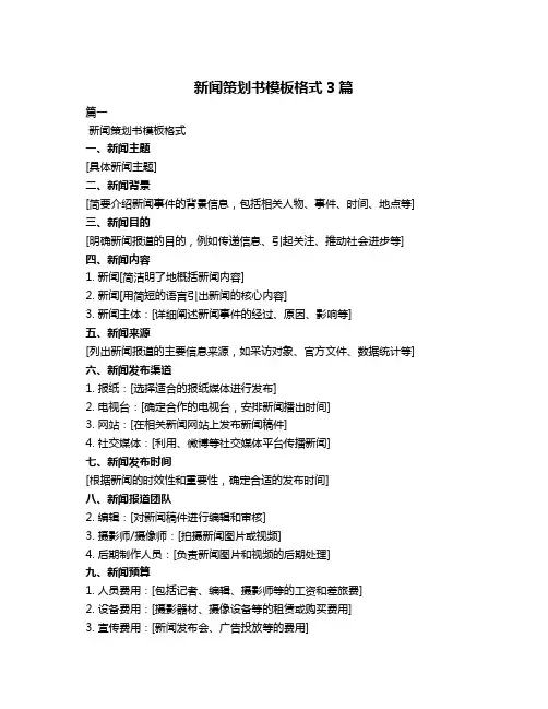 新闻策划书模板格式3篇