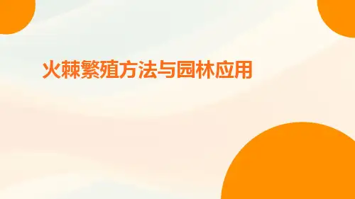 火棘繁殖方法与园林应用